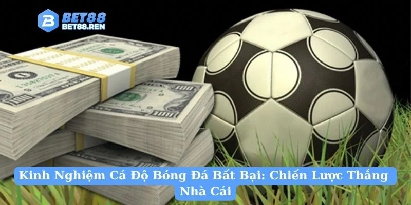 Kinh Nghiệm Cá Độ Bóng Đá Bất Bại: Chiến Lược Thắng Nhà Cái