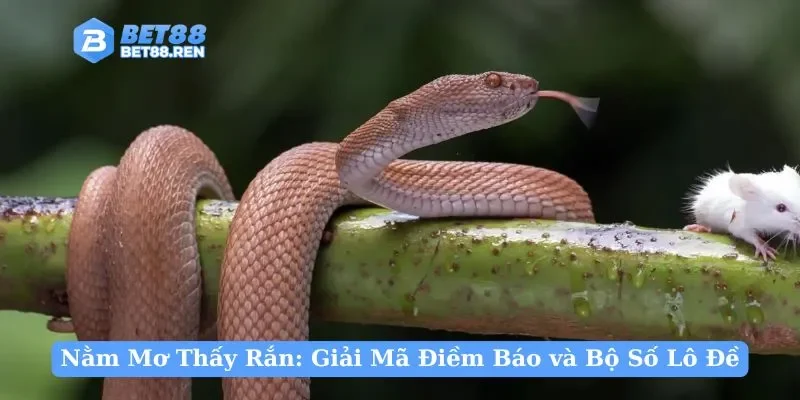 Nằm Mơ Thấy Rắn: Giải Mã Điềm Báo và Bộ Số Lô Đề May Mắn